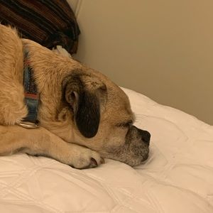 Meet your Posher, Mark